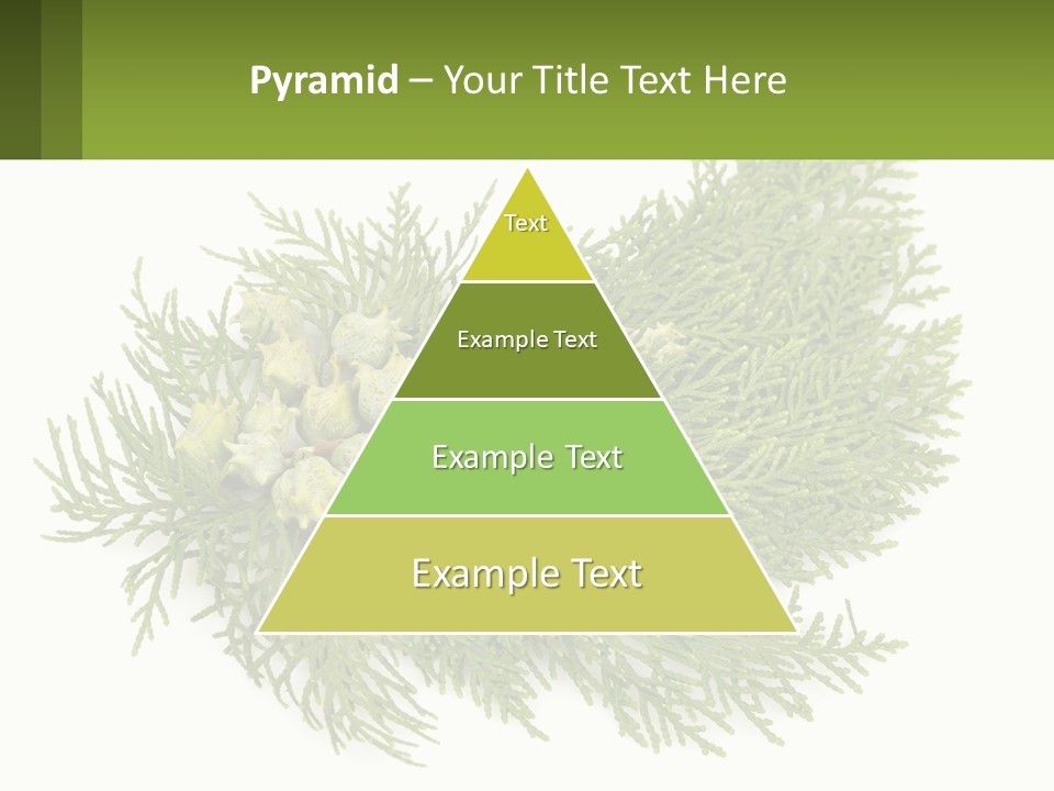 A Bunch Of Green Leaves On A White Background PowerPoint Template