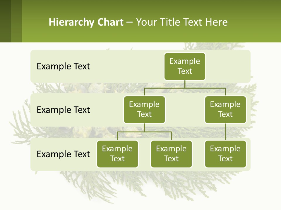 A Bunch Of Green Leaves On A White Background PowerPoint Template