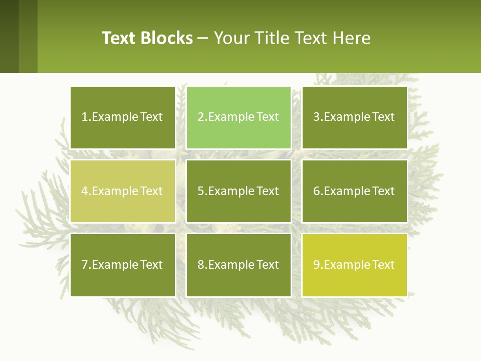 A Bunch Of Green Leaves On A White Background PowerPoint Template