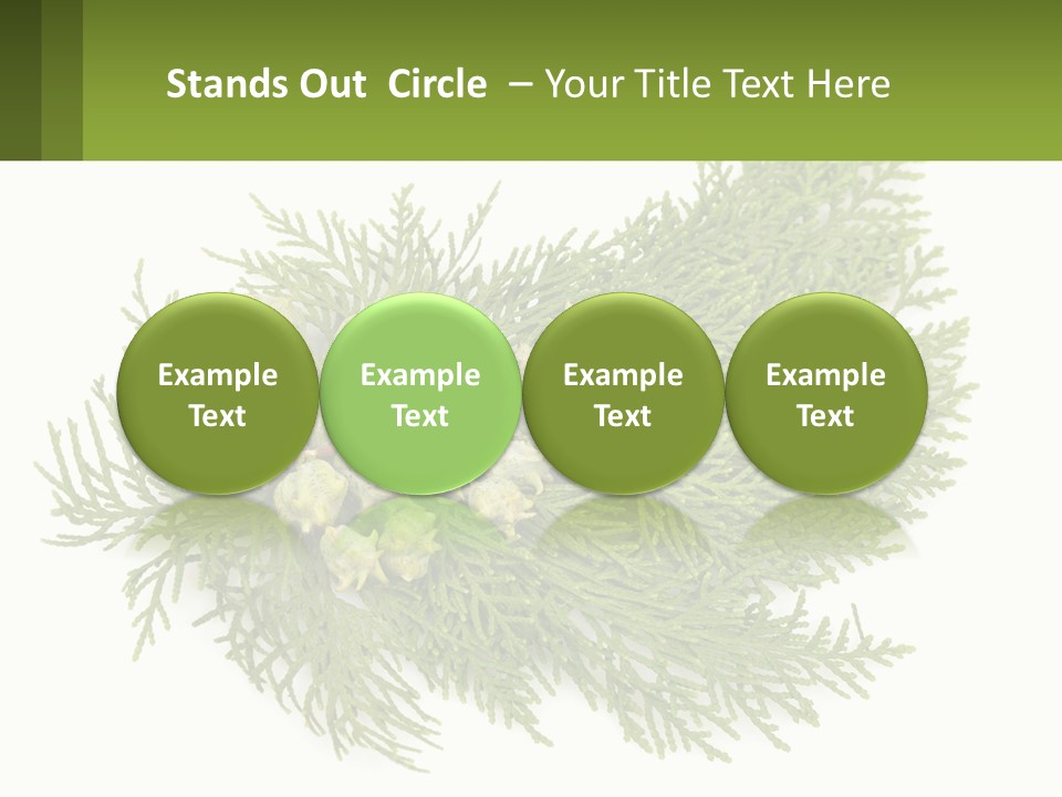 A Bunch Of Green Leaves On A White Background PowerPoint Template