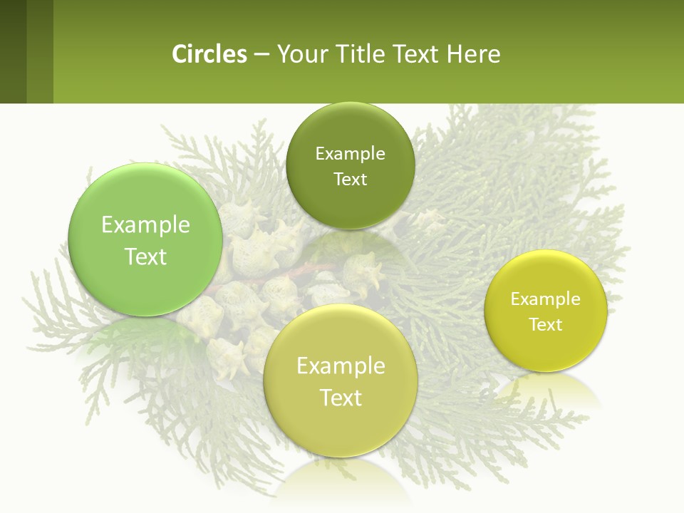 A Bunch Of Green Leaves On A White Background PowerPoint Template