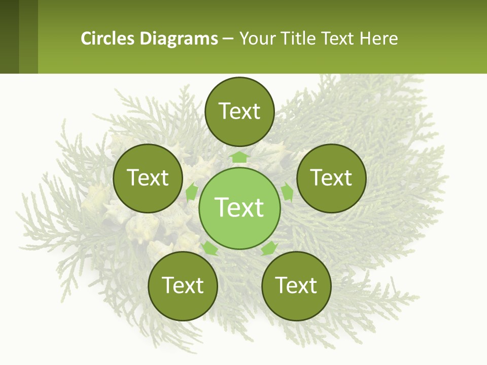 A Bunch Of Green Leaves On A White Background PowerPoint Template