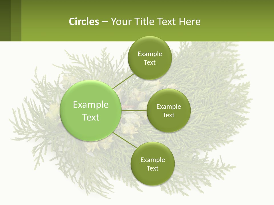 A Bunch Of Green Leaves On A White Background PowerPoint Template