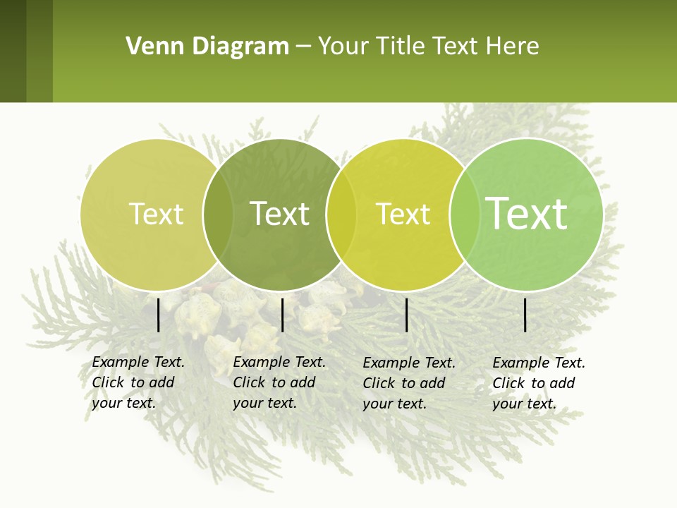 A Bunch Of Green Leaves On A White Background PowerPoint Template