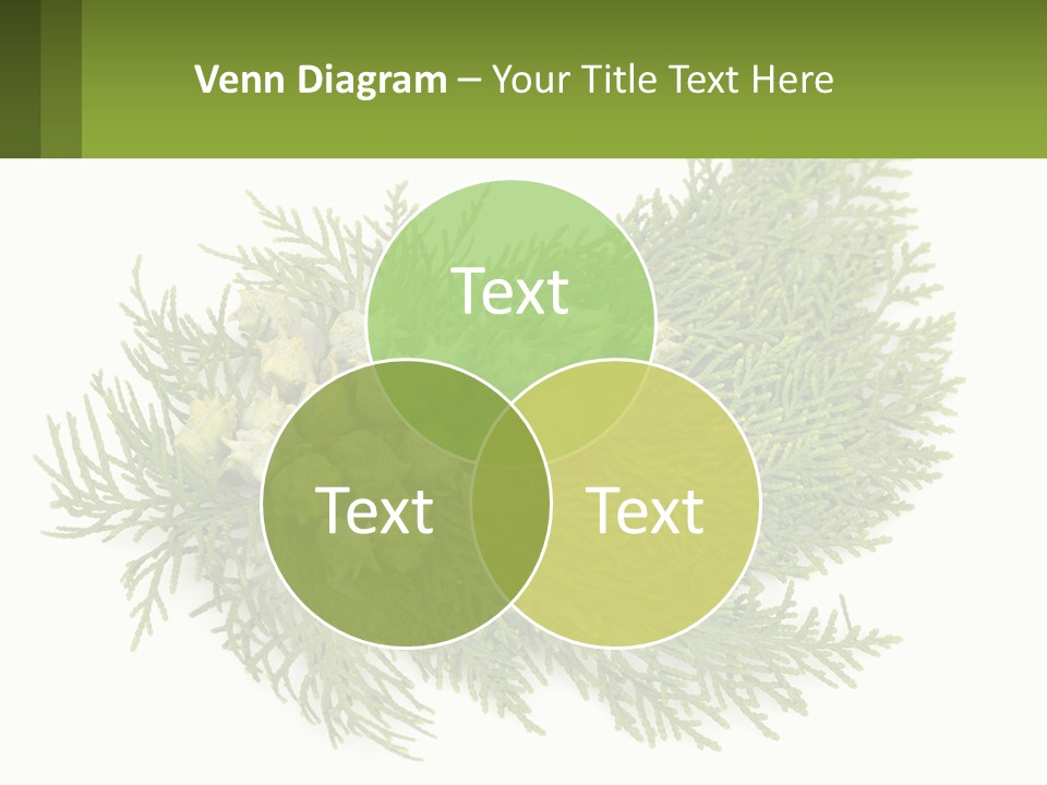 A Bunch Of Green Leaves On A White Background PowerPoint Template