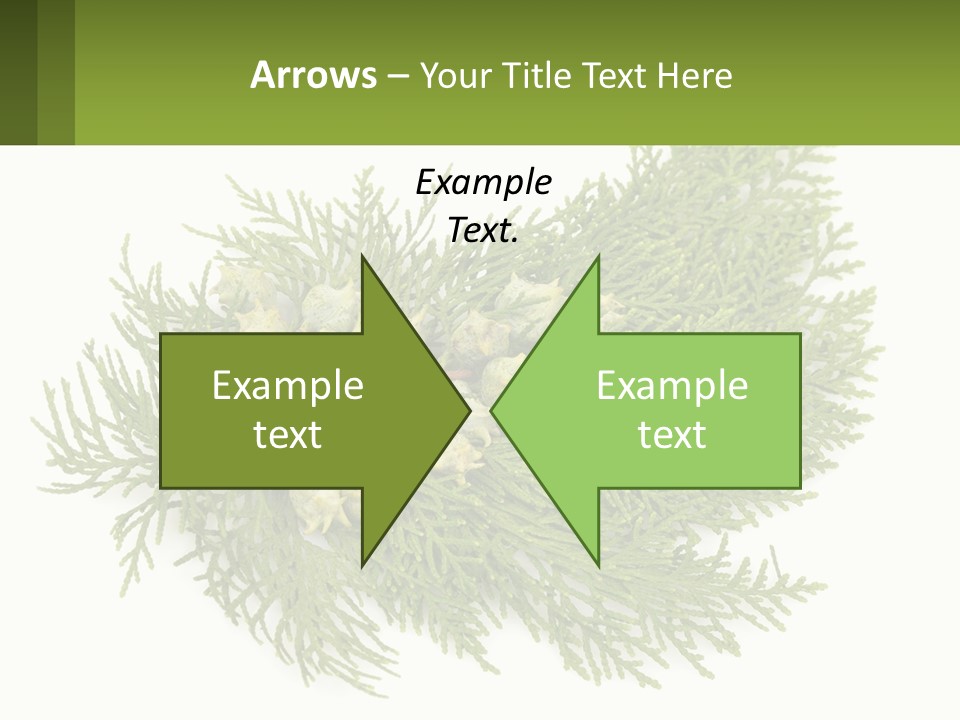 A Bunch Of Green Leaves On A White Background PowerPoint Template