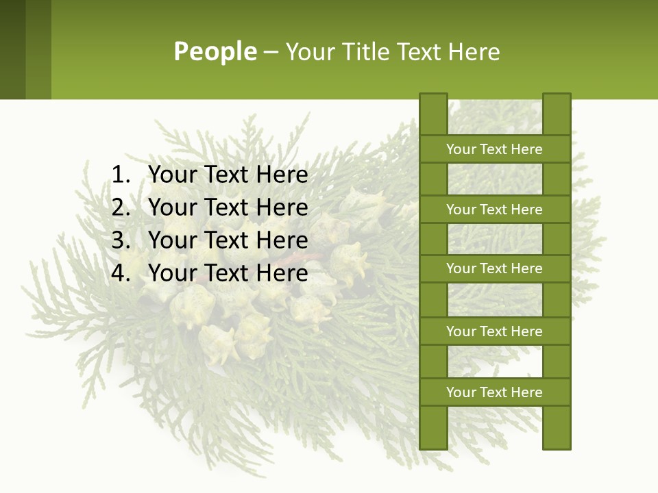 A Bunch Of Green Leaves On A White Background PowerPoint Template