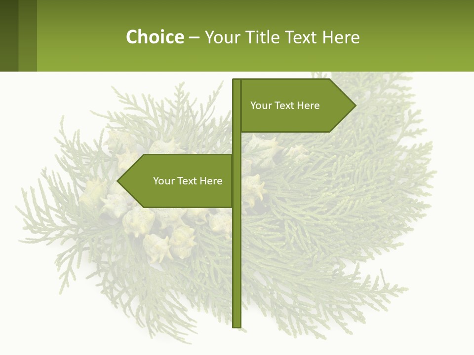 A Bunch Of Green Leaves On A White Background PowerPoint Template