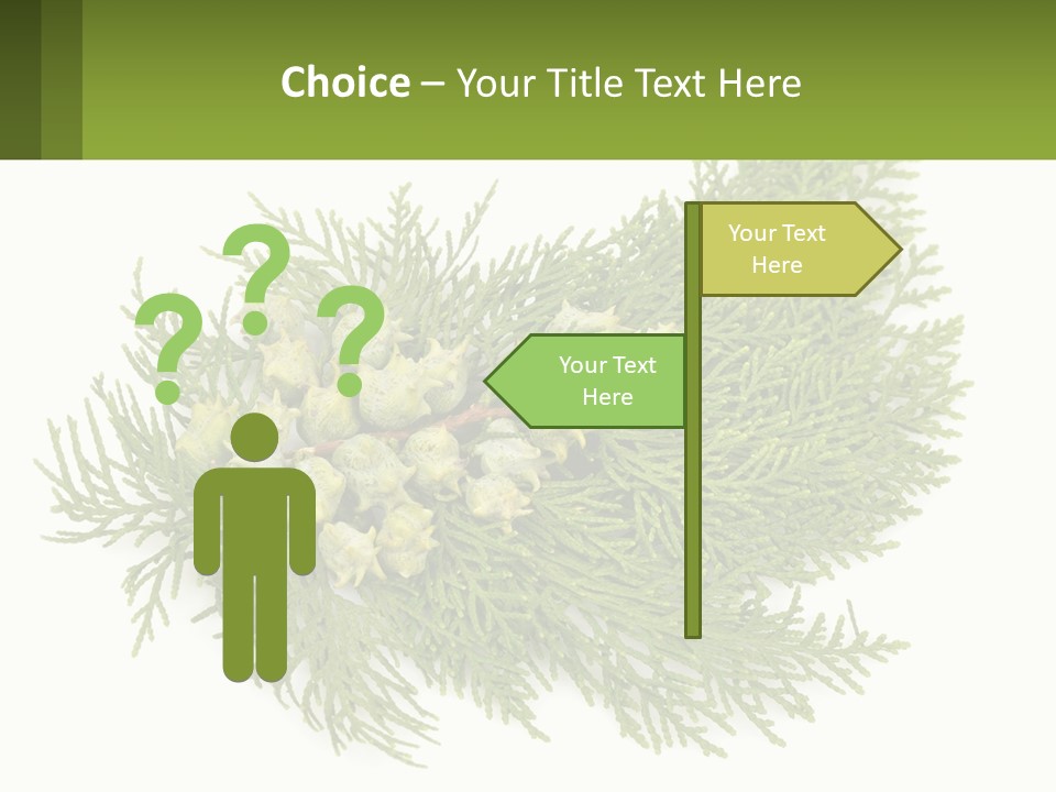 A Bunch Of Green Leaves On A White Background PowerPoint Template