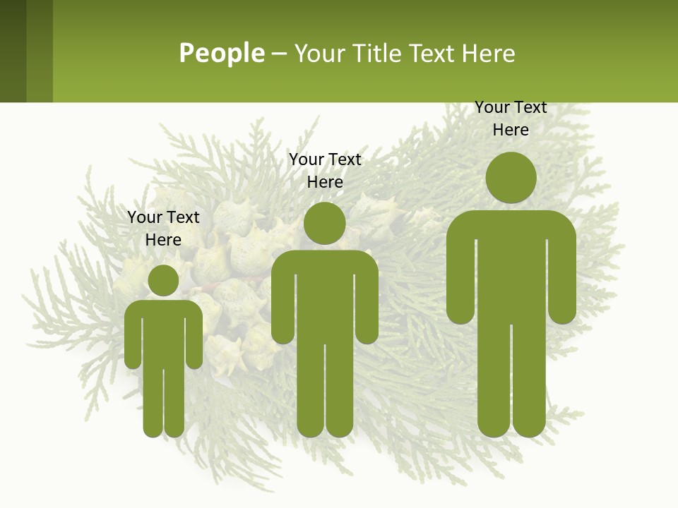 A Bunch Of Green Leaves On A White Background PowerPoint Template