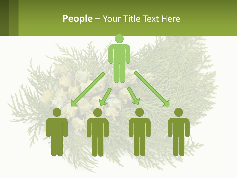 A Bunch Of Green Leaves On A White Background PowerPoint Template