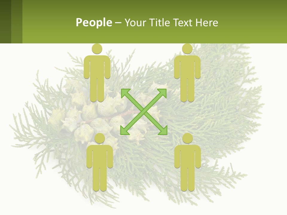 A Bunch Of Green Leaves On A White Background PowerPoint Template