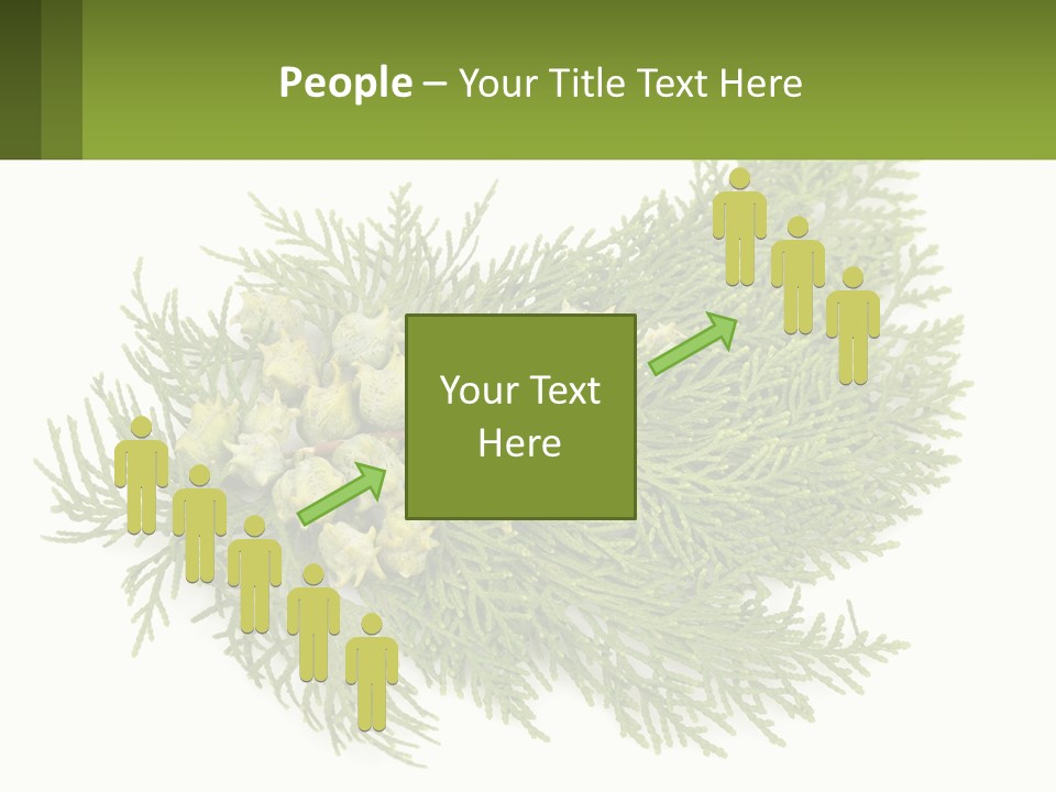 A Bunch Of Green Leaves On A White Background PowerPoint Template