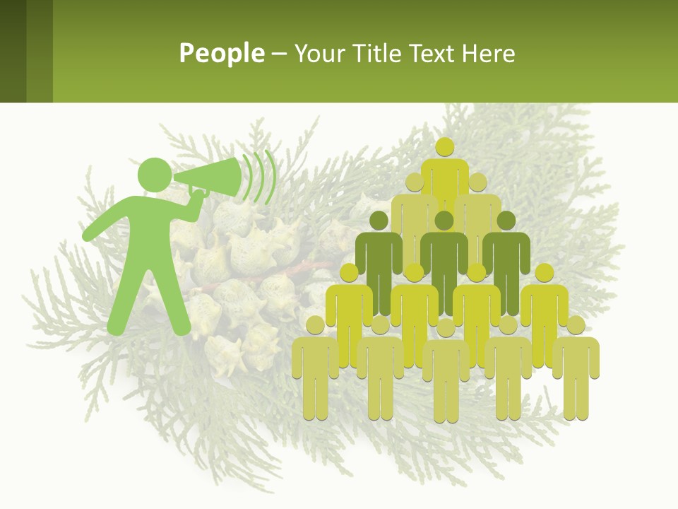 A Bunch Of Green Leaves On A White Background PowerPoint Template