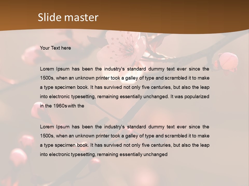 A Branch With Pink Flowers On It With A Brown Background PowerPoint Template