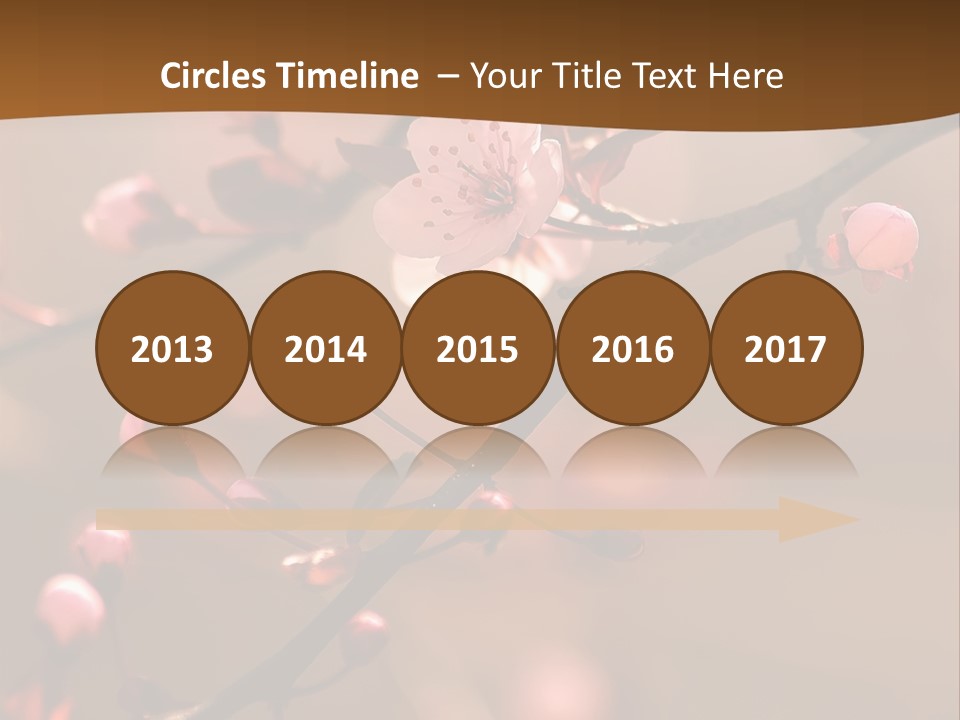 A Branch With Pink Flowers On It With A Brown Background PowerPoint Template