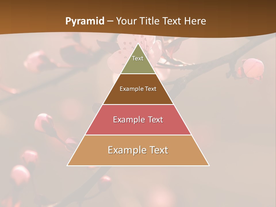 A Branch With Pink Flowers On It With A Brown Background PowerPoint Template