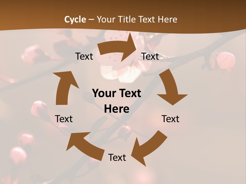 A Branch With Pink Flowers On It With A Brown Background PowerPoint Template