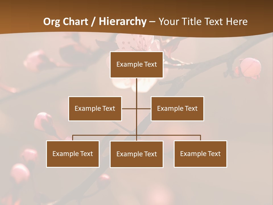 A Branch With Pink Flowers On It With A Brown Background PowerPoint Template