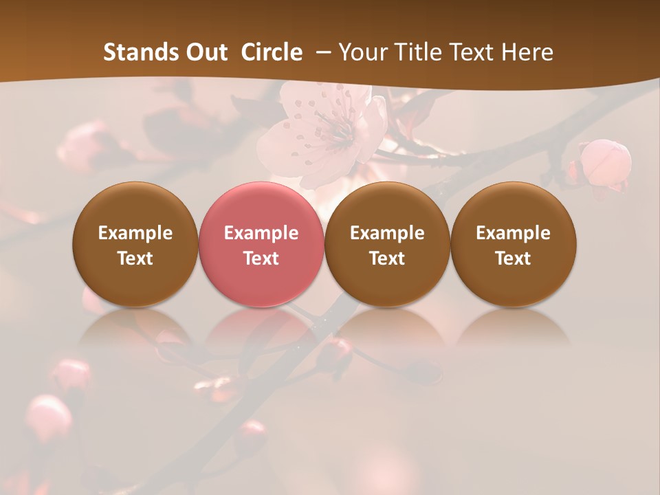 A Branch With Pink Flowers On It With A Brown Background PowerPoint Template