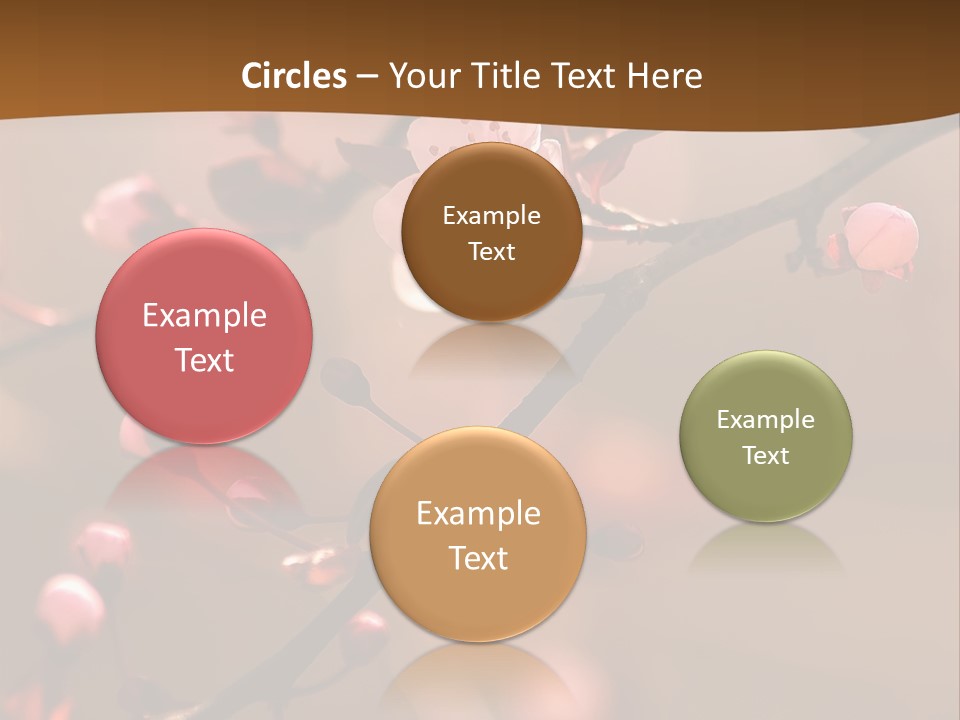 A Branch With Pink Flowers On It With A Brown Background PowerPoint Template