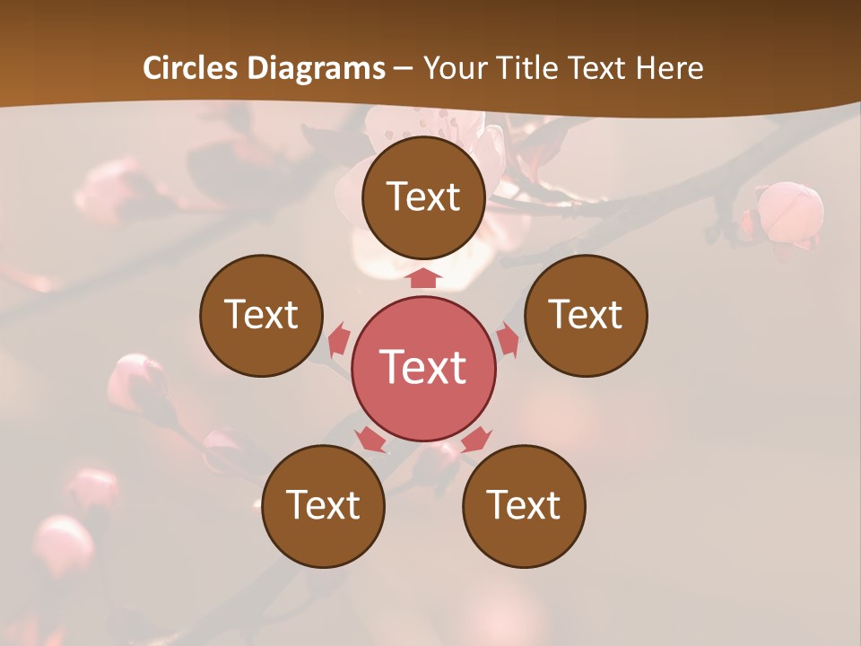 A Branch With Pink Flowers On It With A Brown Background PowerPoint Template