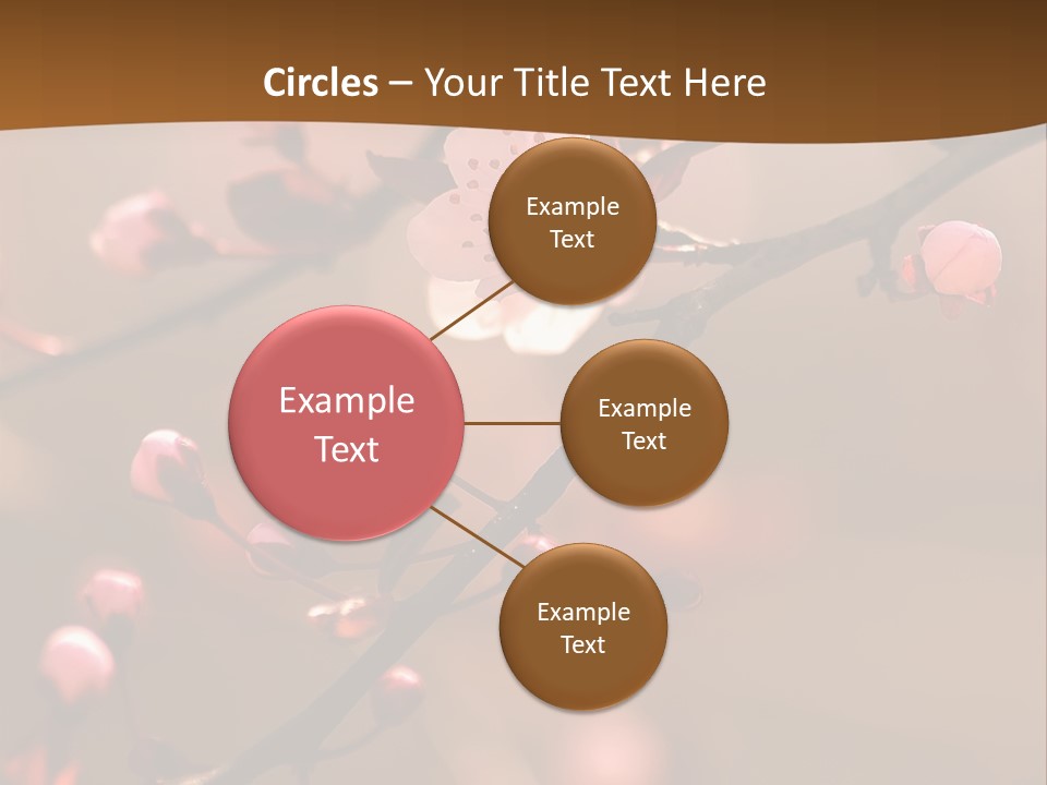 A Branch With Pink Flowers On It With A Brown Background PowerPoint Template