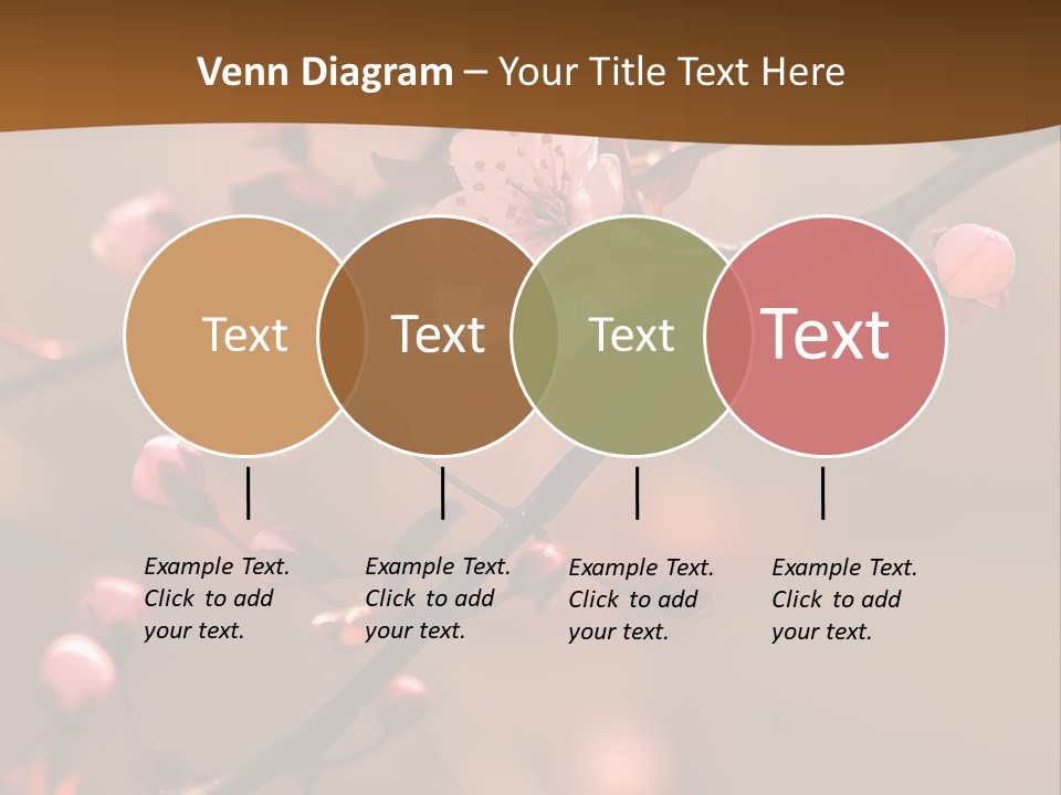 A Branch With Pink Flowers On It With A Brown Background PowerPoint Template