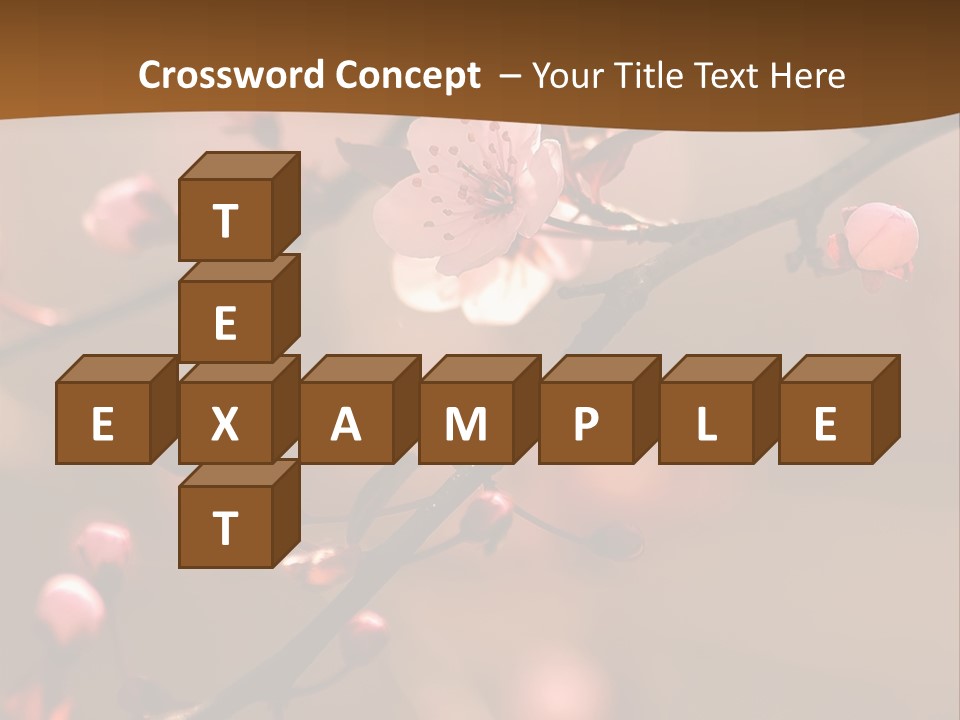 A Branch With Pink Flowers On It With A Brown Background PowerPoint Template