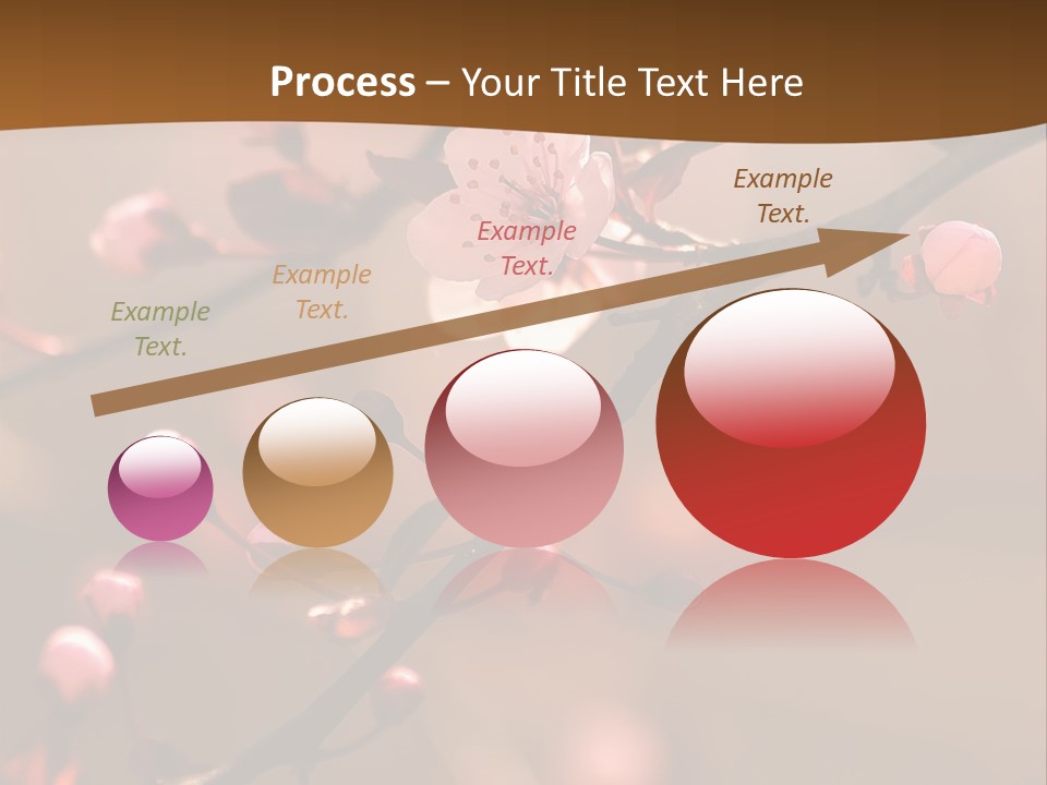 A Branch With Pink Flowers On It With A Brown Background PowerPoint Template