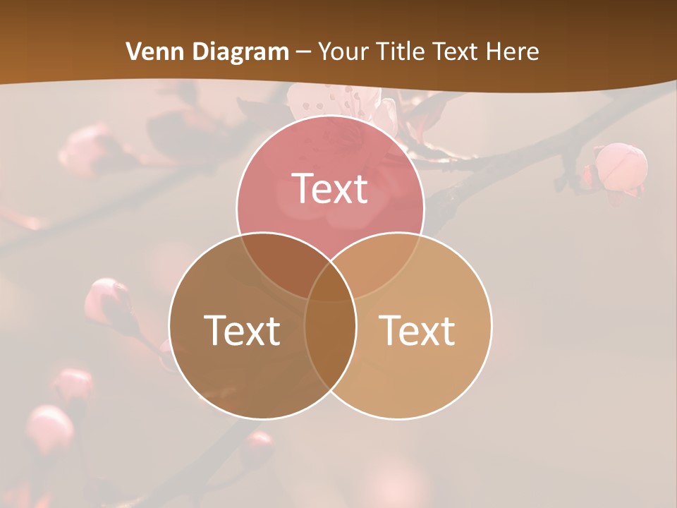 A Branch With Pink Flowers On It With A Brown Background PowerPoint Template