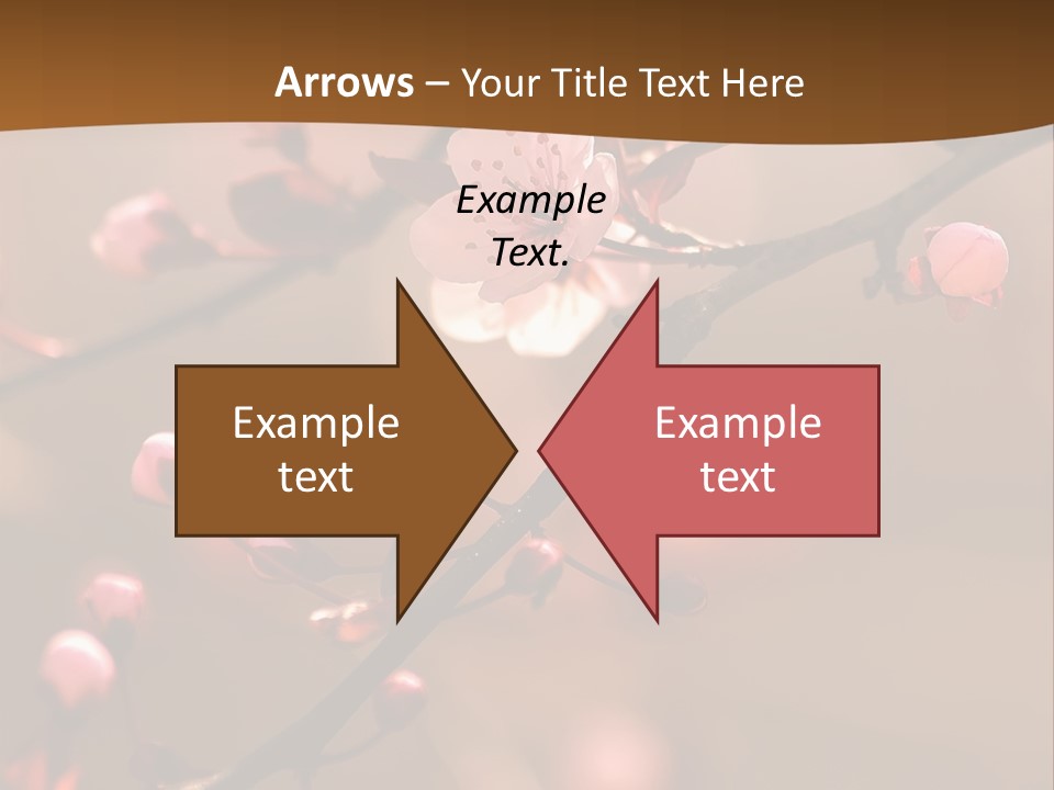 A Branch With Pink Flowers On It With A Brown Background PowerPoint Template