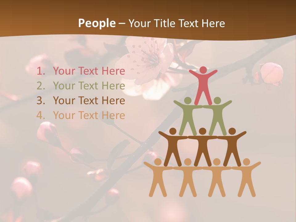 A Branch With Pink Flowers On It With A Brown Background PowerPoint Template