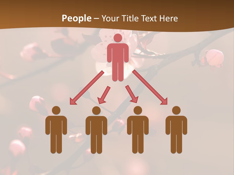 A Branch With Pink Flowers On It With A Brown Background PowerPoint Template