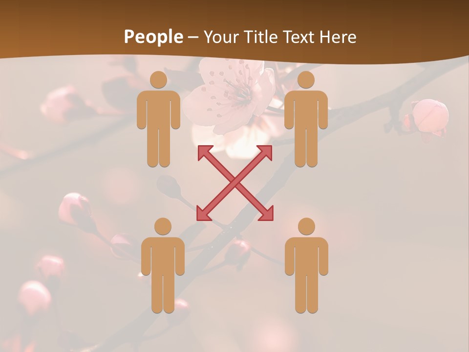 A Branch With Pink Flowers On It With A Brown Background PowerPoint Template