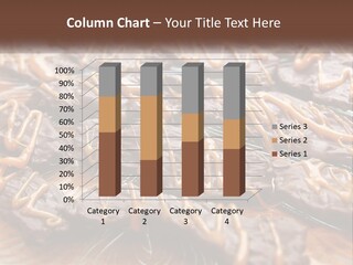 A Plate Full Of Chocolate Covered Cookies With Caramel Drizzles PowerPoint Template