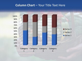 A Person Holding A Basket Full Of Vegetables PowerPoint Template