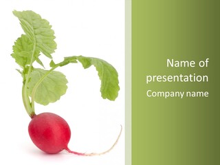 A Radish With Green Leaves On A White Background PowerPoint Template