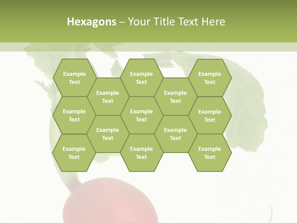 A Radish With Green Leaves On A White Background PowerPoint Template