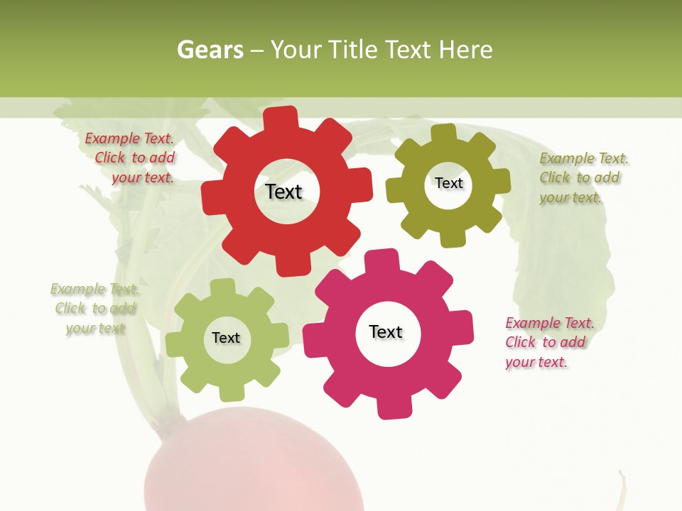 A Radish With Green Leaves On A White Background PowerPoint Template