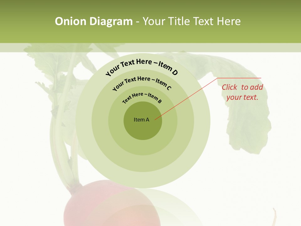 A Radish With Green Leaves On A White Background PowerPoint Template