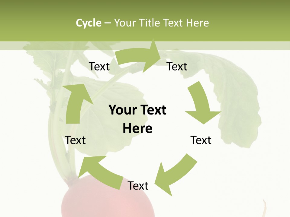 A Radish With Green Leaves On A White Background PowerPoint Template