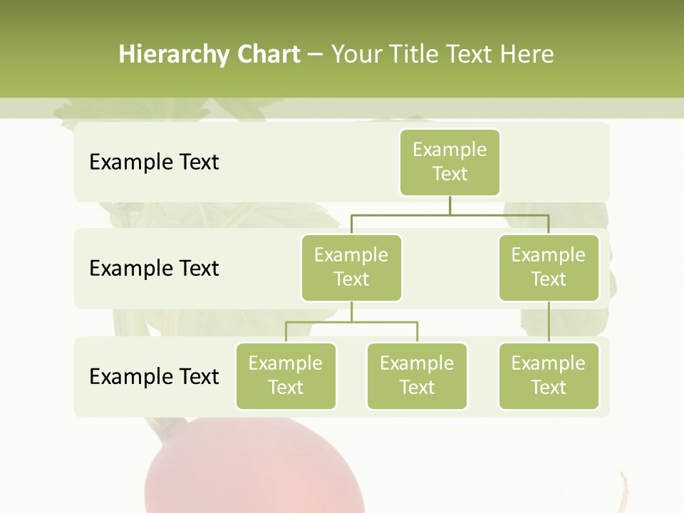 A Radish With Green Leaves On A White Background PowerPoint Template