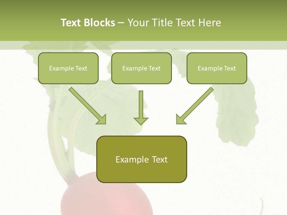 A Radish With Green Leaves On A White Background PowerPoint Template