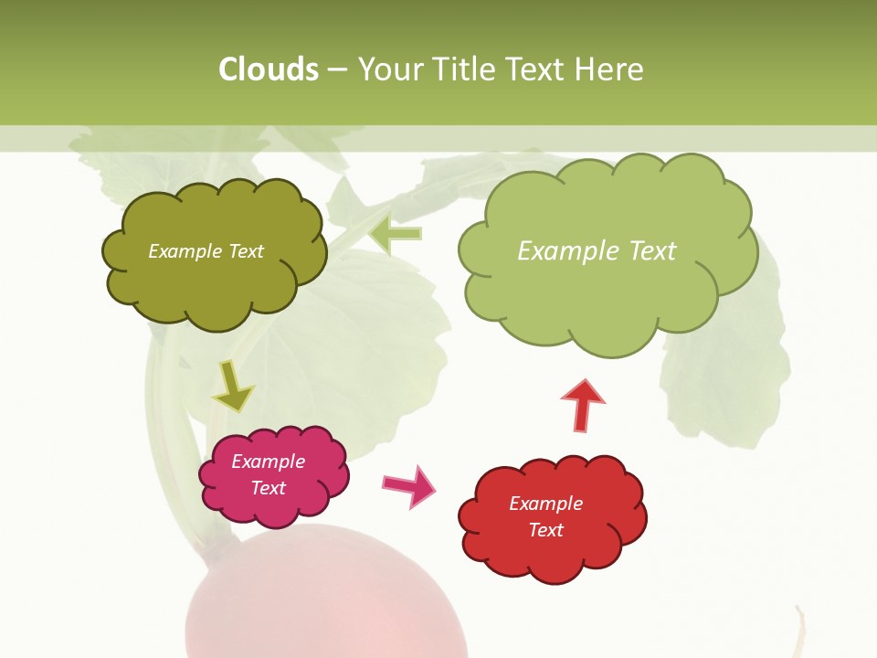 A Radish With Green Leaves On A White Background PowerPoint Template