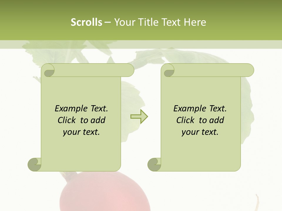 A Radish With Green Leaves On A White Background PowerPoint Template