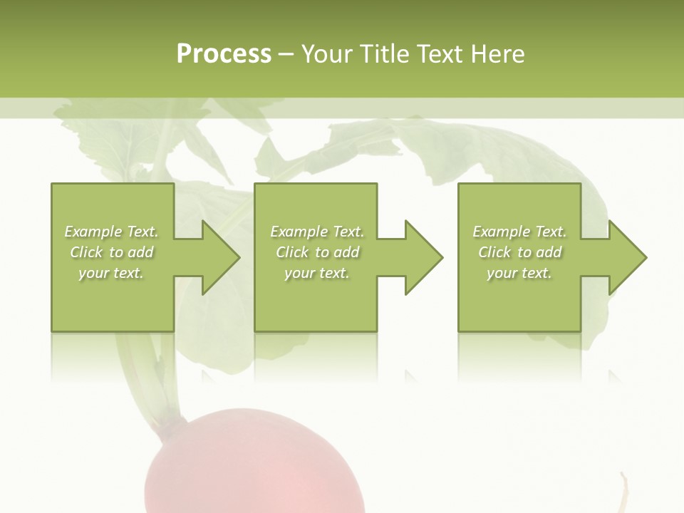 A Radish With Green Leaves On A White Background PowerPoint Template