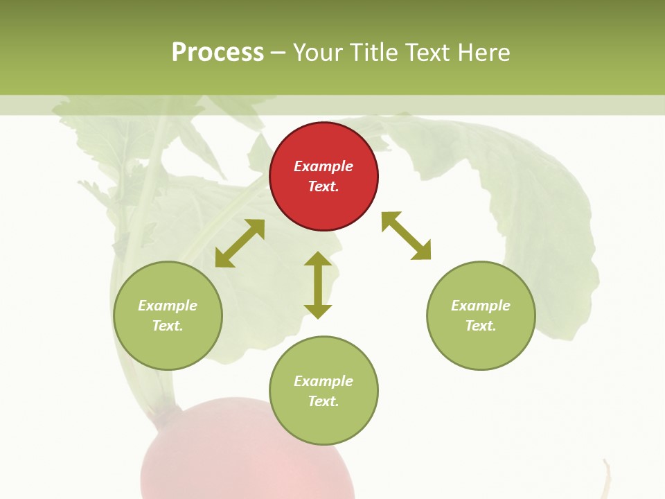 A Radish With Green Leaves On A White Background PowerPoint Template