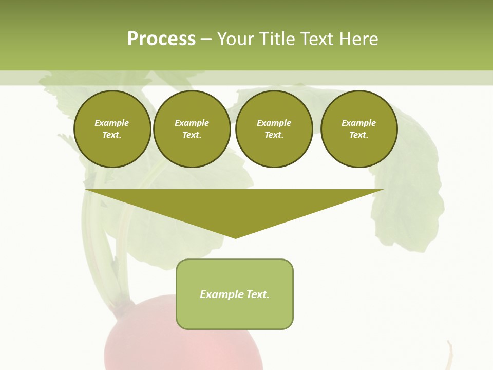 A Radish With Green Leaves On A White Background PowerPoint Template