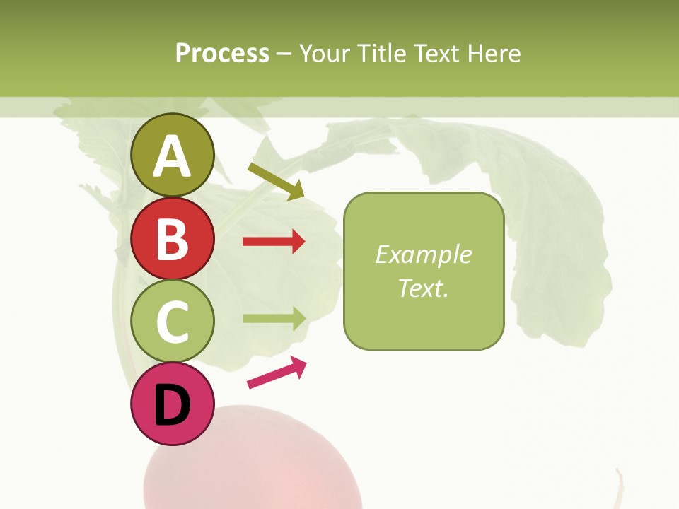 A Radish With Green Leaves On A White Background PowerPoint Template